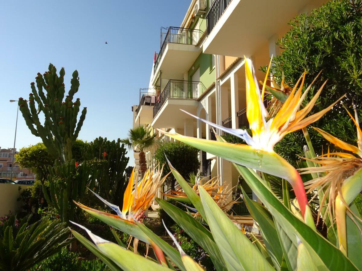 トレビエハBrisas Del Mar Azulアパートメント エクステリア 写真